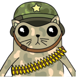 Soldier